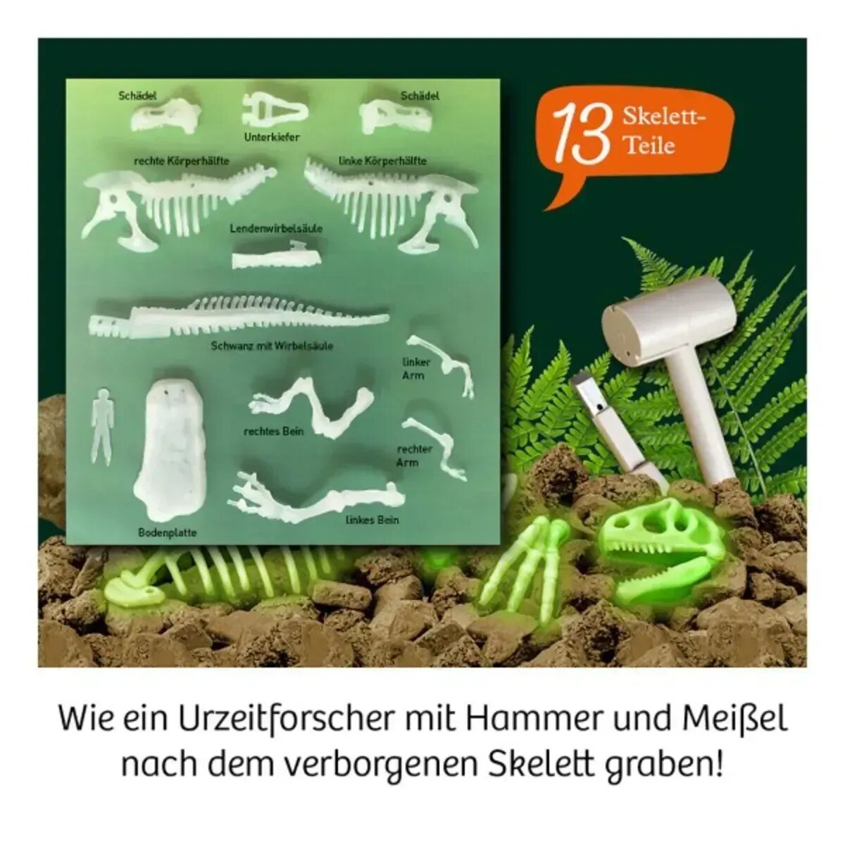 kosmos-t-rex-nachtleuchtend-ausgrabungs-7EB3F1D44.jpg