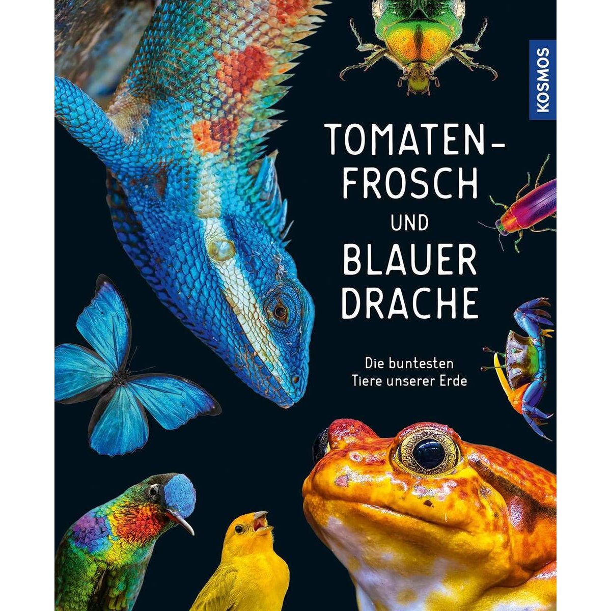 KOSMOS Tomatenfrosch und blauer Drache: Die buntesten Tiere unserer Erde
