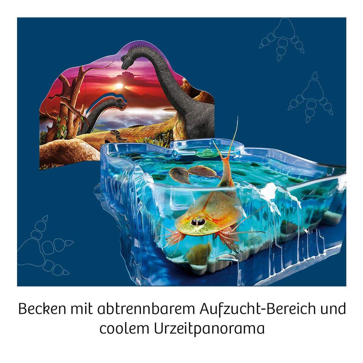 KOSMOS Triops Giganten Züchte Riesen-Urzeitkrebse