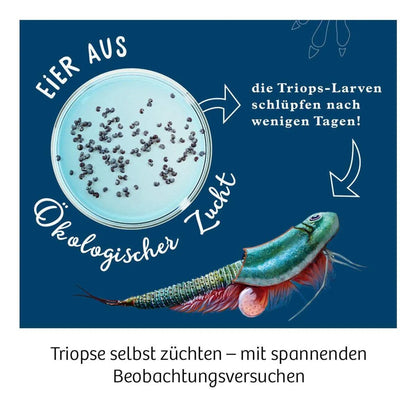 kosmos-triops-welt-leben-aus-A08EA3304.jpg