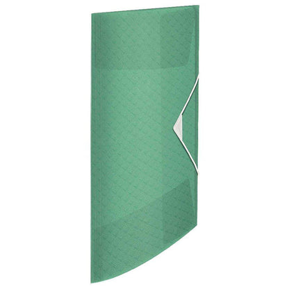 Leitz Esselte Colour Ice Eckspannermappe grün