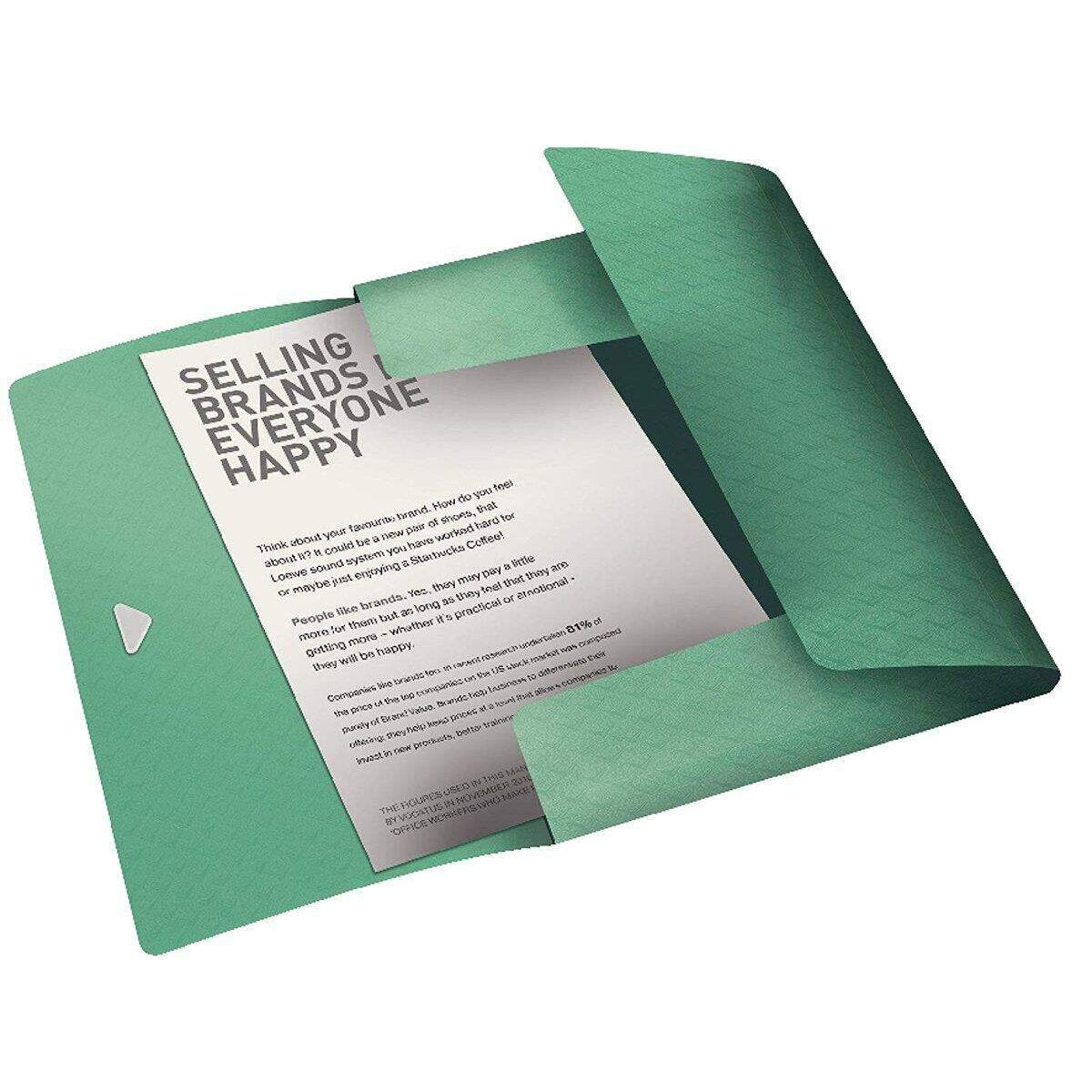 Leitz Esselte Colour Ice Eckspannermappe grün