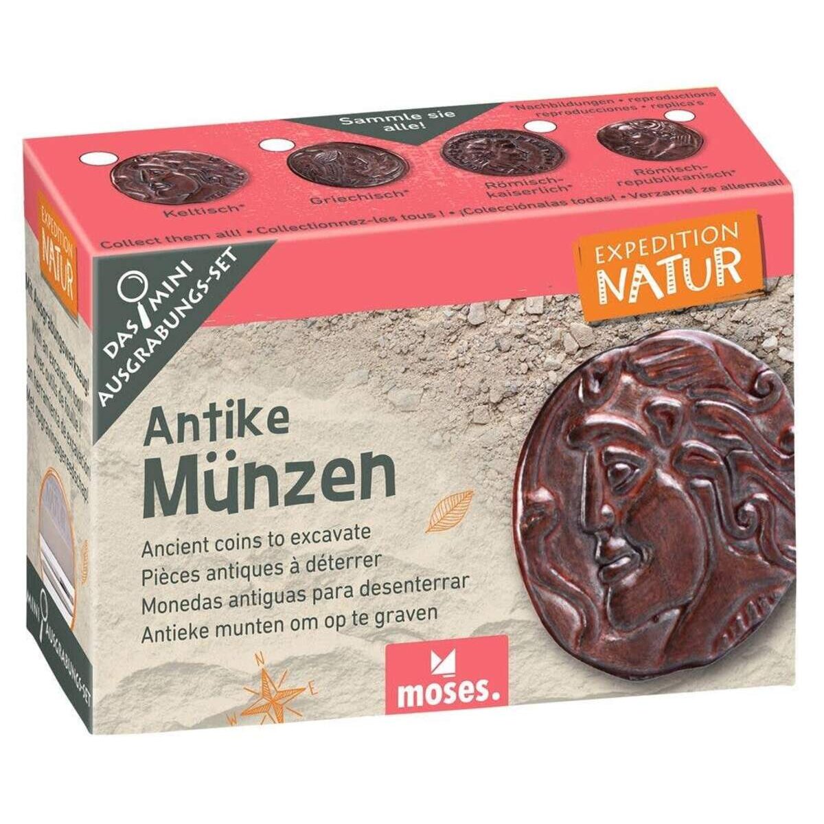 moses. Expedition Natur Mini-Ausgrabungsset, 1 Stück, sortiert