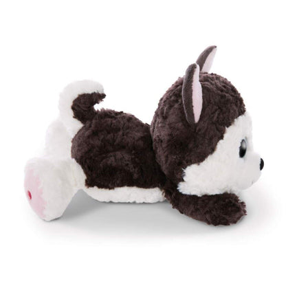 NICI 46926 Glubschis liegendes Kuscheltier Husky Barkley 25cm