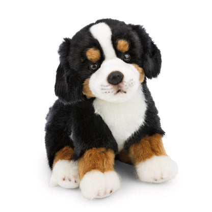 NICI Kuscheltier Berner Sennenhund schwarz braun weiß 20 cm