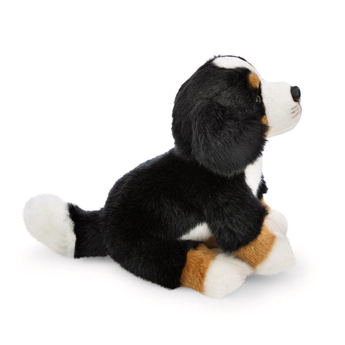 NICI Kuscheltier Berner Sennenhund schwarz braun weiß 20 cm