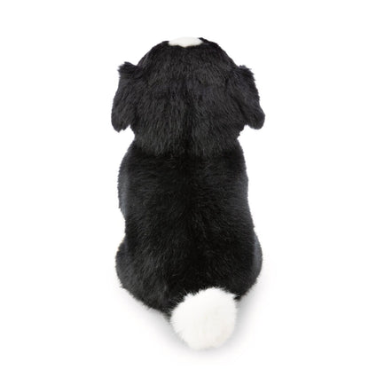 NICI Kuscheltier Berner Sennenhund schwarz braun weiß 20 cm