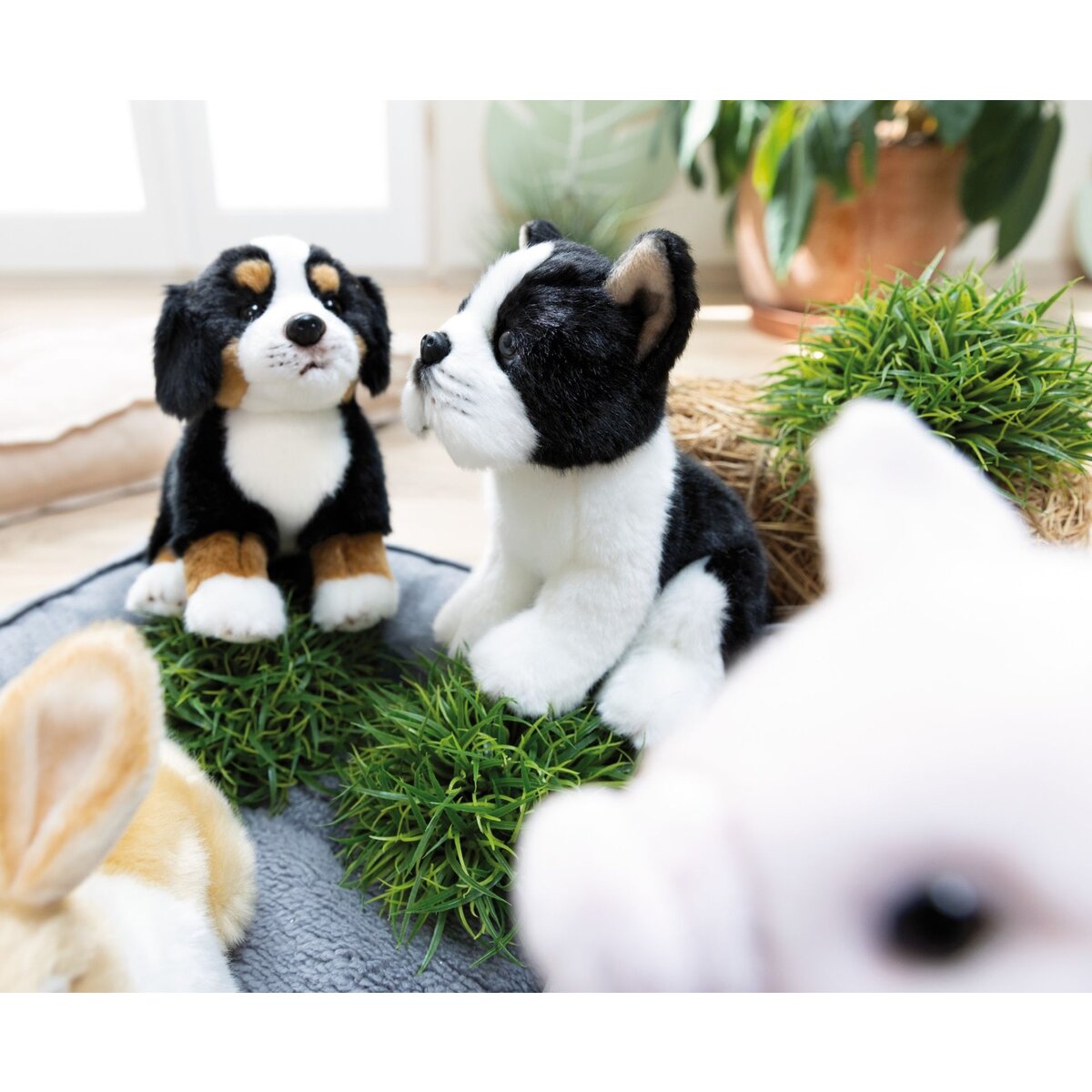 NICI Kuscheltier Berner Sennenhund schwarz braun weiß 20 cm