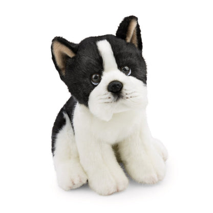 NICI Kuscheltier Hund Boston Terrier schwarz weiß 20 cm