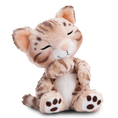 NICI Kuscheltier Katze Bengal 12cm schlafend im Körbchen hellgrün GREEN