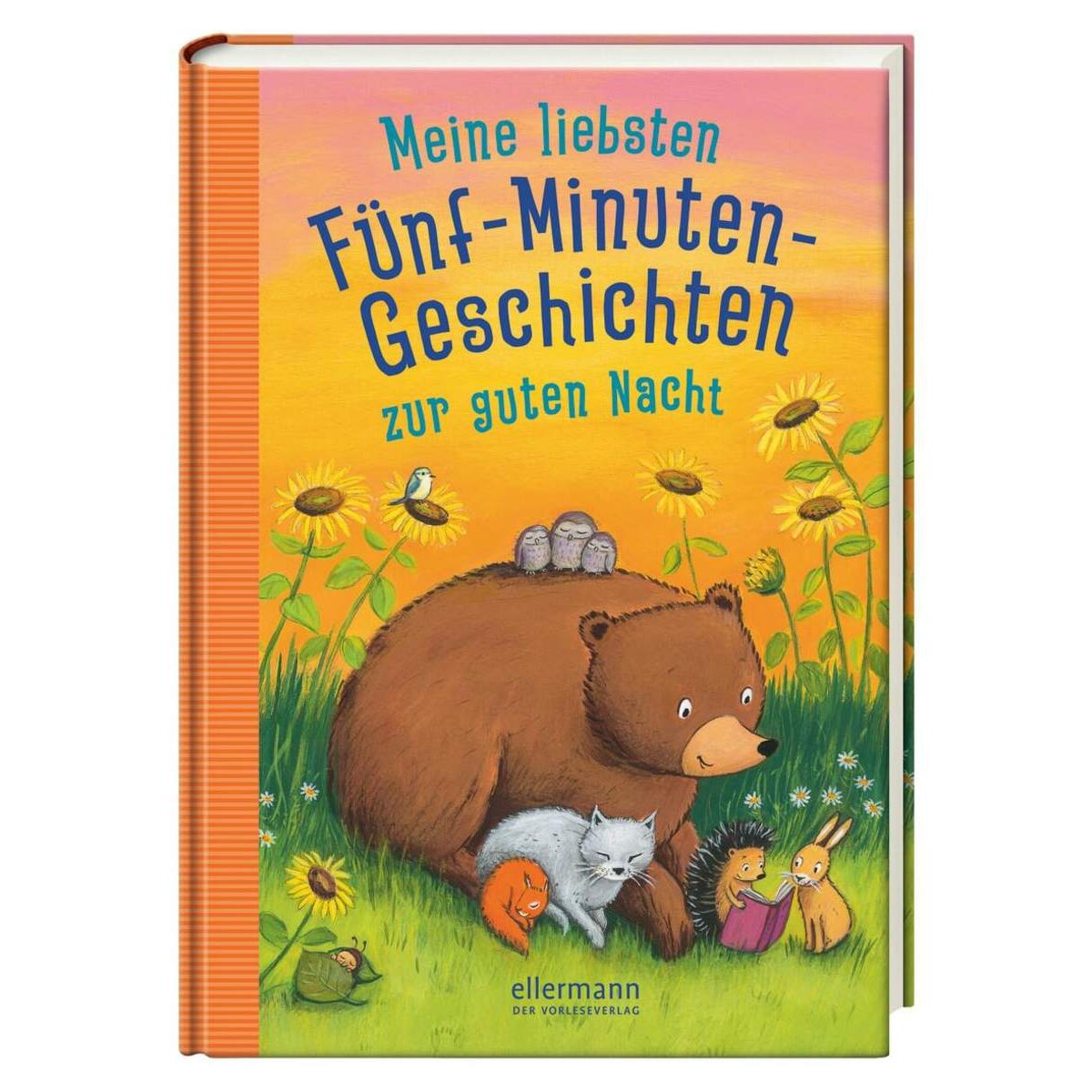 Oetinger Meine liebsten Fünf-Minutengeschichten zur guten Nacht
