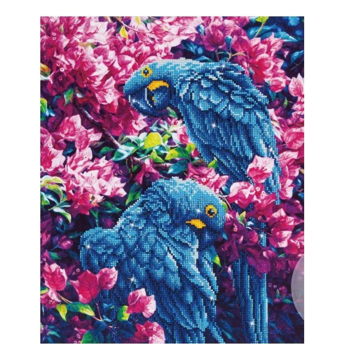 Pracht Diamond Dotz - Papagei