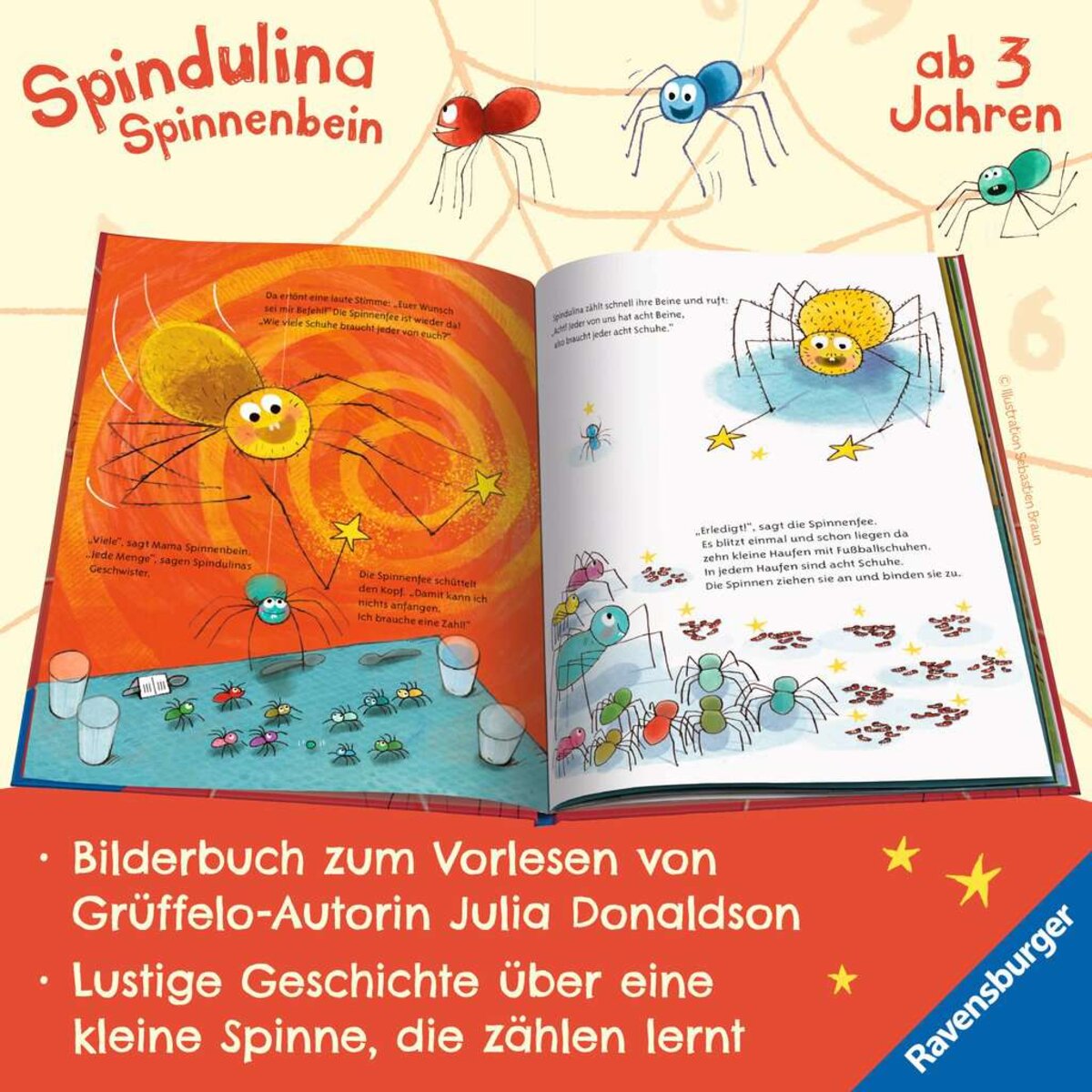 ravensburger-46509-spindulina-spinnenbein-985E67DC3.jpg