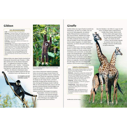 Ravensburger Das große Ravensburger Tierlexikon von A bis Z