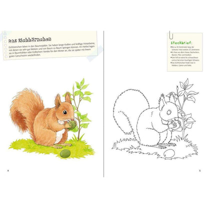 Ravensburger Malbuch- Natur