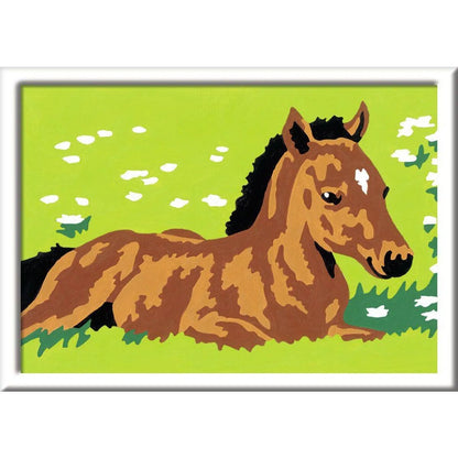 ravensburger-malen-nach-zahlen-kleines-6B81B48D2.jpg