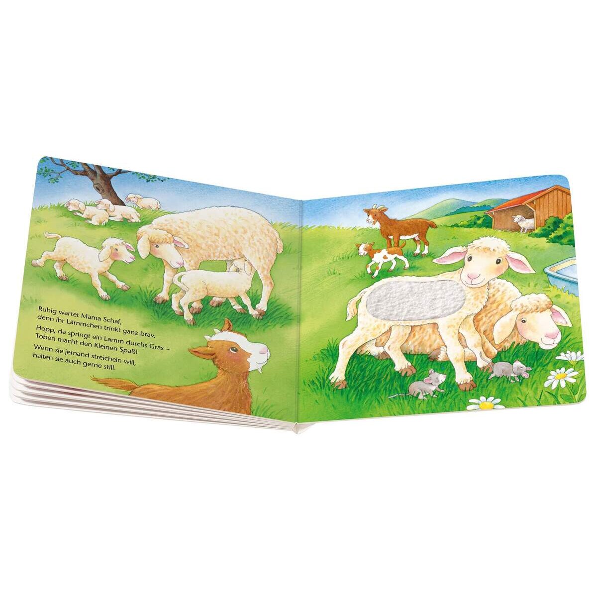 Ravensburger ministeps Fühl mal die Bauernhof-Tiere