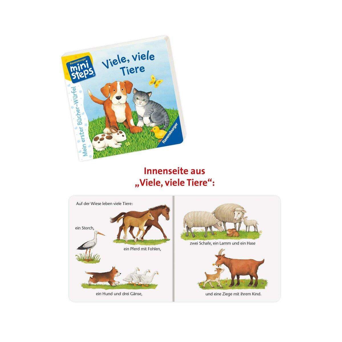 Ravensburger ministeps Mein erster Bücher-Würfel (Starter-Set)