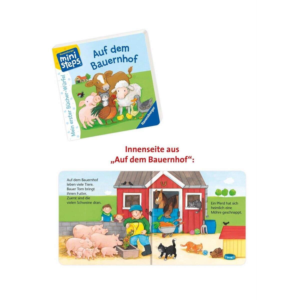 Ravensburger ministeps Mein erster Bücher-Würfel (Starter-Set)