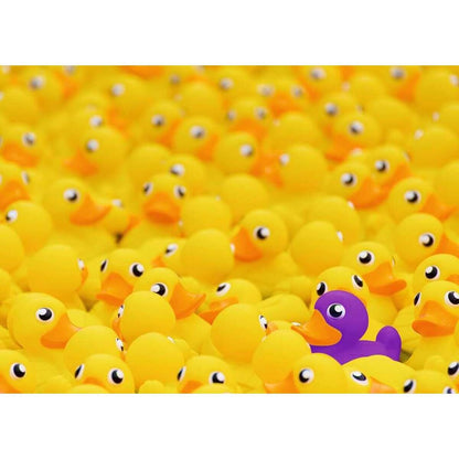 Ravensburger Puzzle - Quietscheenten, 1000 Teile