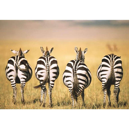 Ravensburger Puzzle - Zebra, 300 Teile