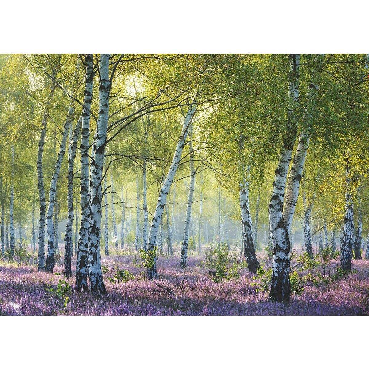 Ravensburger Puzzle Birkenwald, 1000 Teile