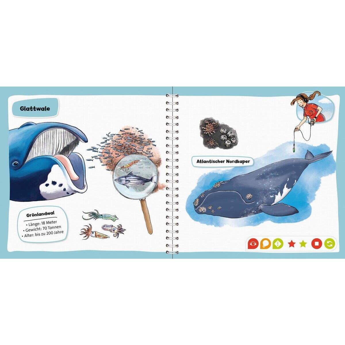 Ravensburger tiptoi® - Pocket Wissen: Wale und Delfine