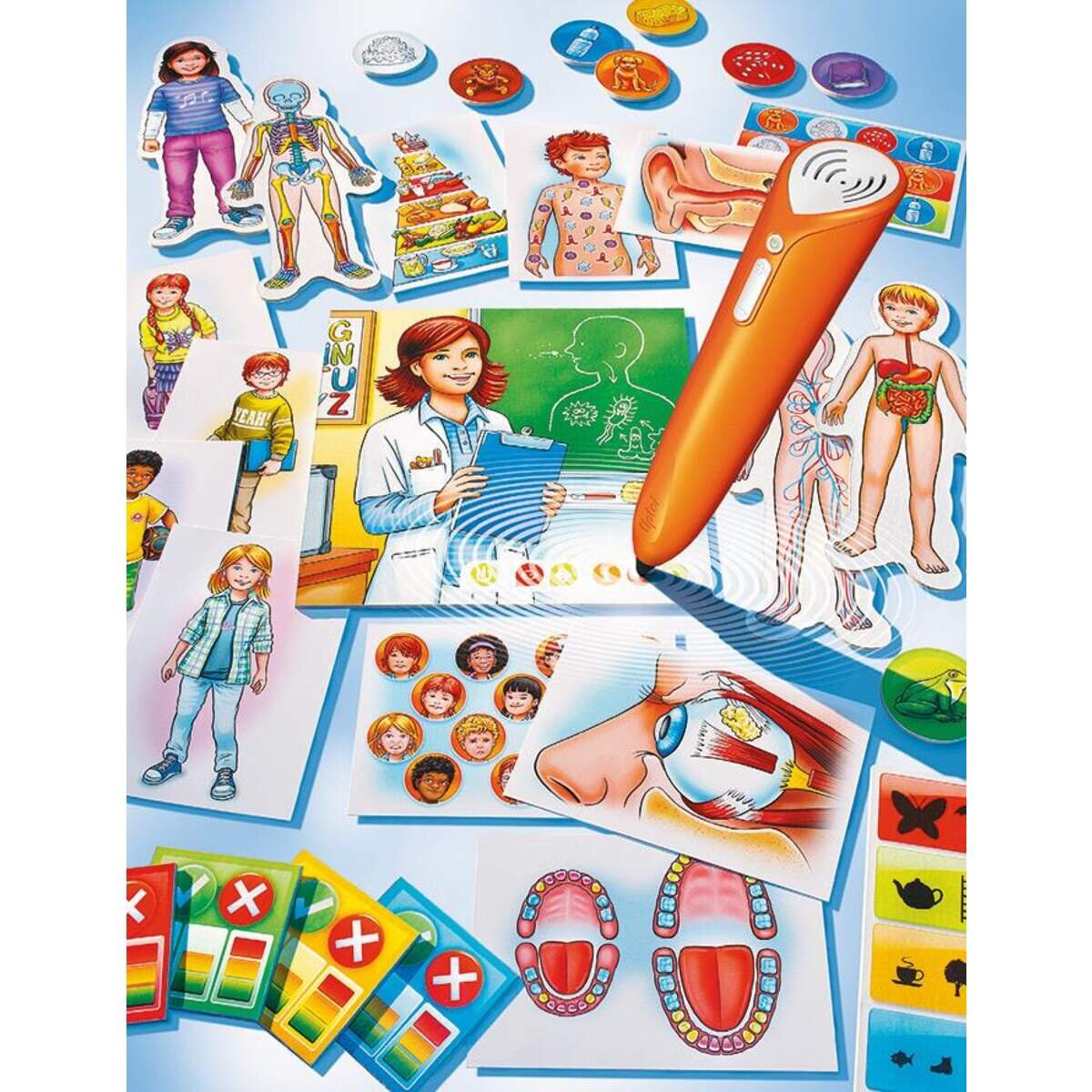 Ravensburger tiptoi Dein Körper und Du, ohne Stift