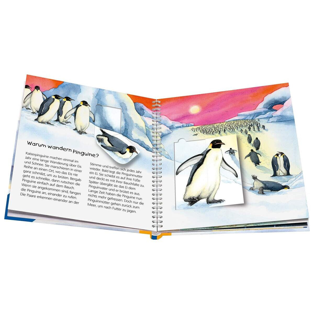 Ravensburger Wieso? Weshalb? Warum? Band. 29: Der Pinguin