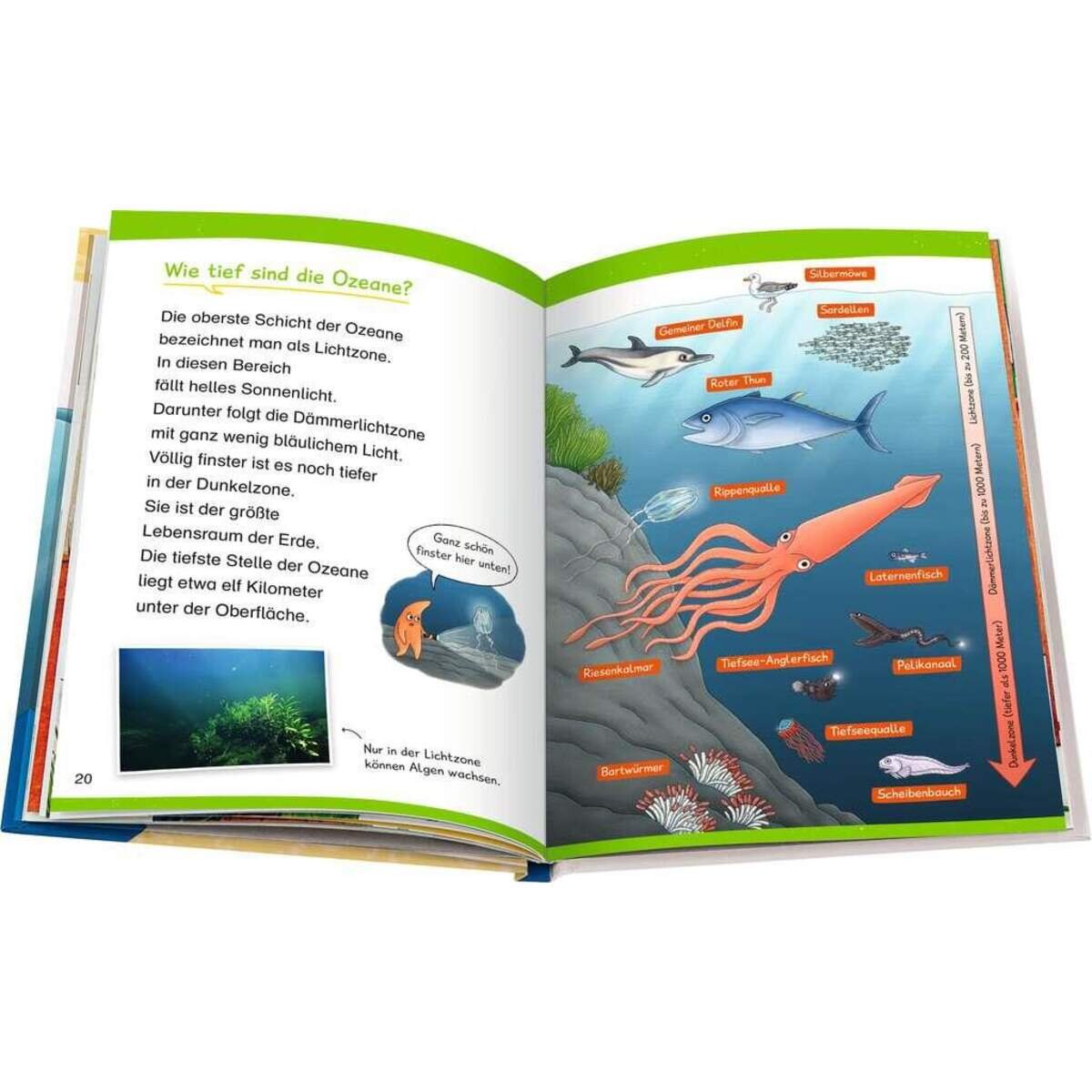 ravensburger-wieso-weshalb-warum-erstleser-8E5264D03.jpg