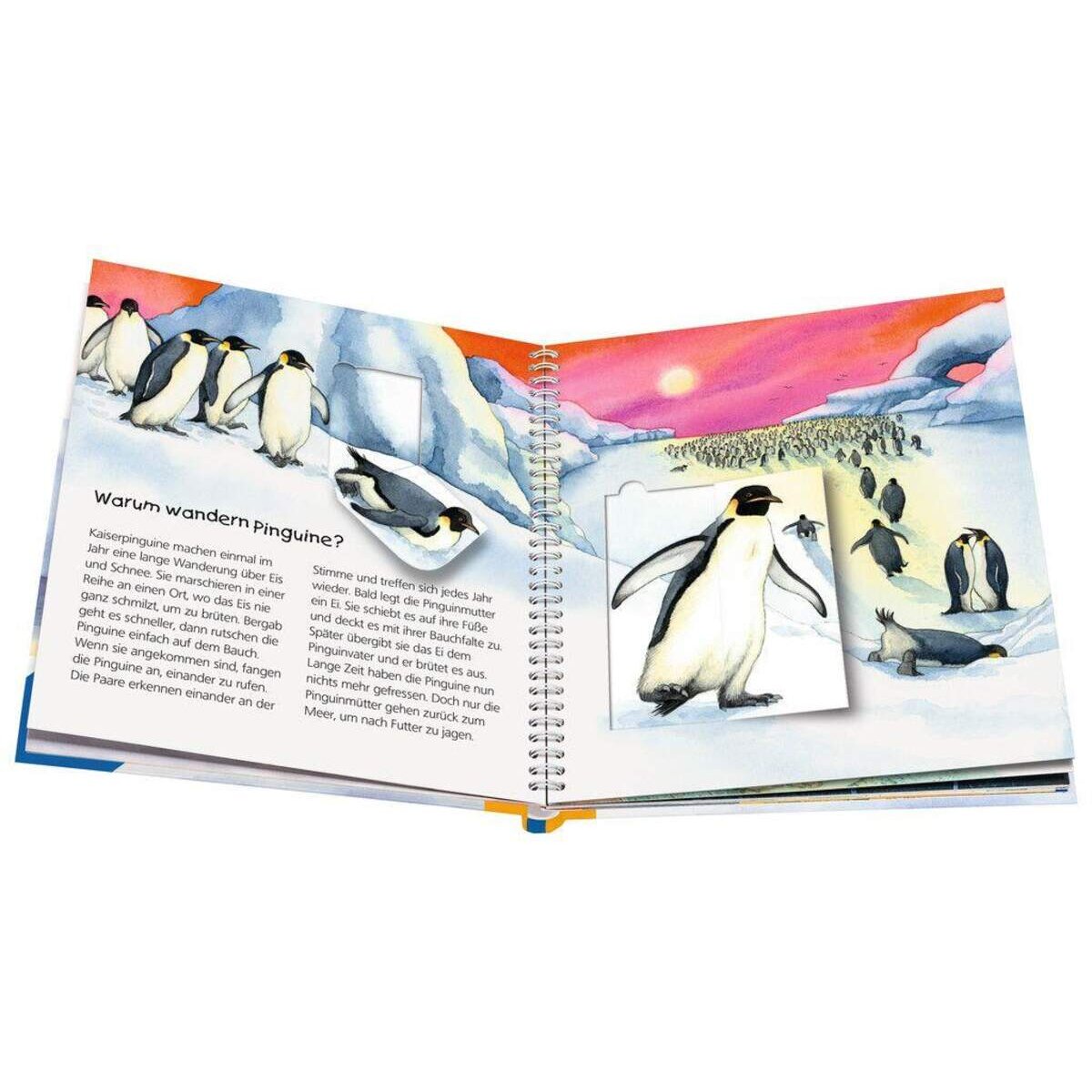 Ravensburger Wieso? Weshalb? Warum? Junior Der Pinguin