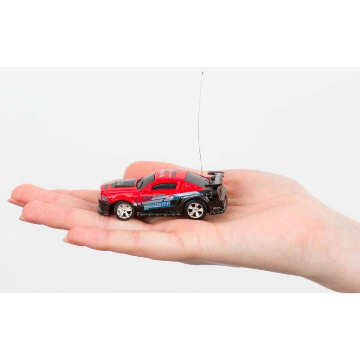 RC: Mini-Racer (12)