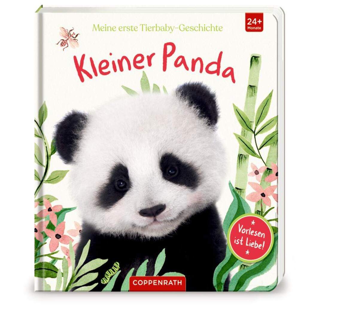 Coppenrath Verlag Meine erste Tierbaby-Geschichte: Kleiner Panda