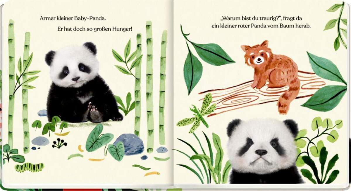 Coppenrath Verlag Meine erste Tierbaby-Geschichte: Kleiner Panda