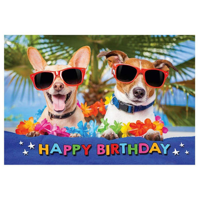 Depesche 3D Foto Klappkarten, sortiert