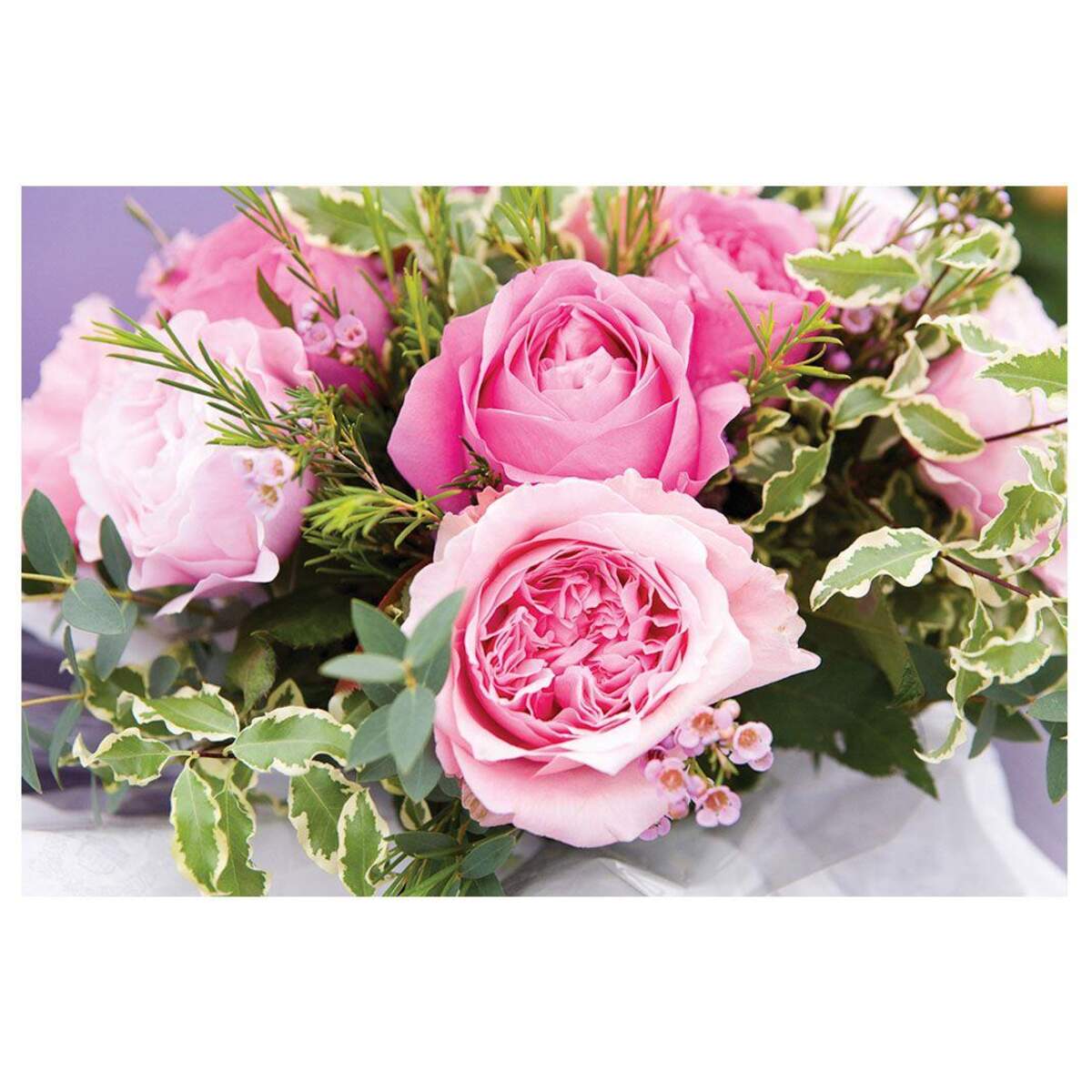 Depesche 3D Foto Klappkarten, sortiert