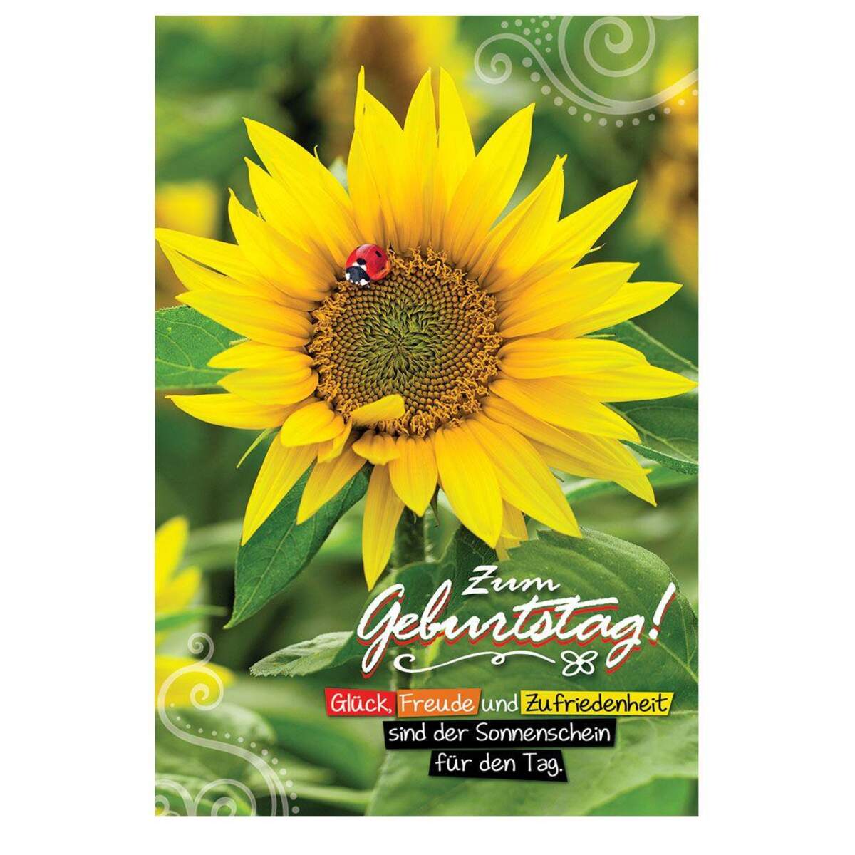 Depesche 3D Foto Klappkarten, sortiert