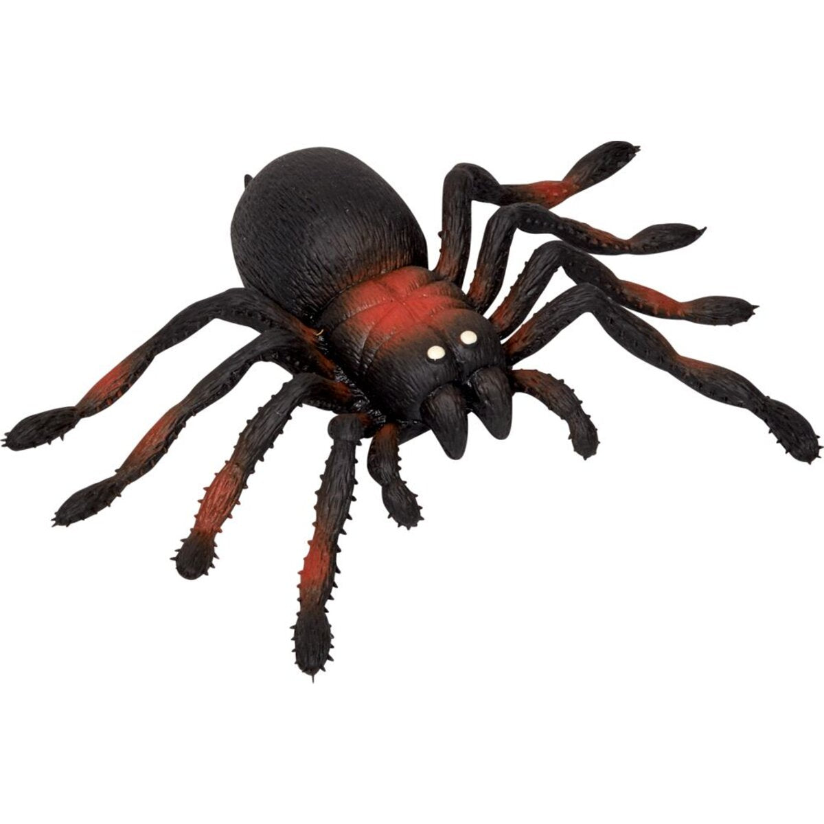 Die Spiegelburg Kellerspinne - Wild+Cool Halloween