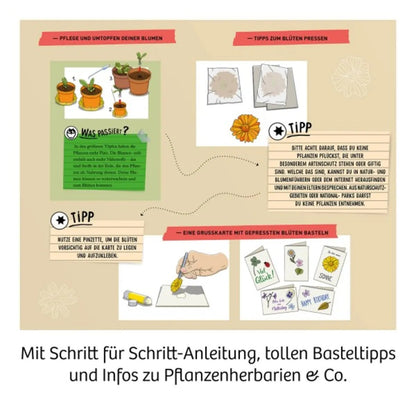 KOSMOS Blütenpresse