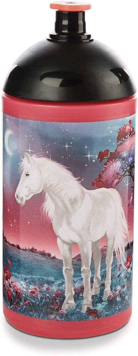 NICI Trinkflasche Soulmates 500ml