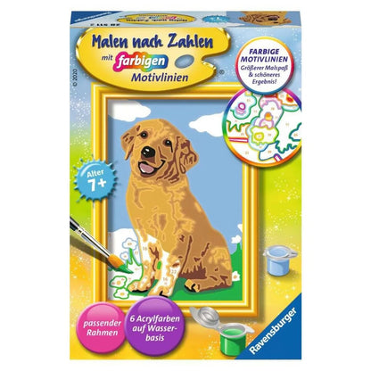 Ravensburger Malen nach Zahlen Kleiner Golden Retriever