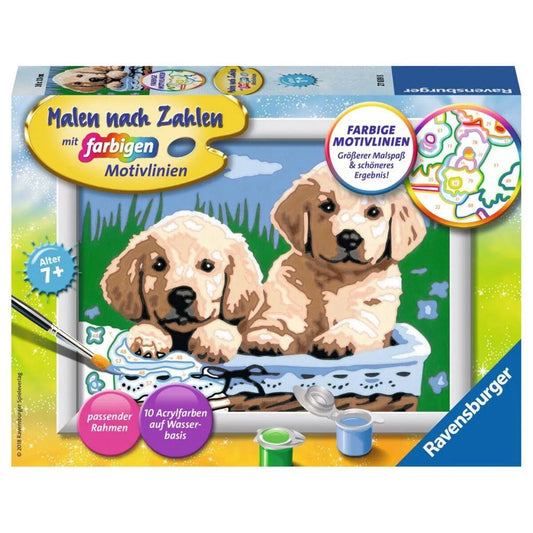 Ravensburger Malen nach Zahlen Süße Hundewelpen